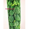 دیوار سبز خزه ای برای کیلینیک زیبایی